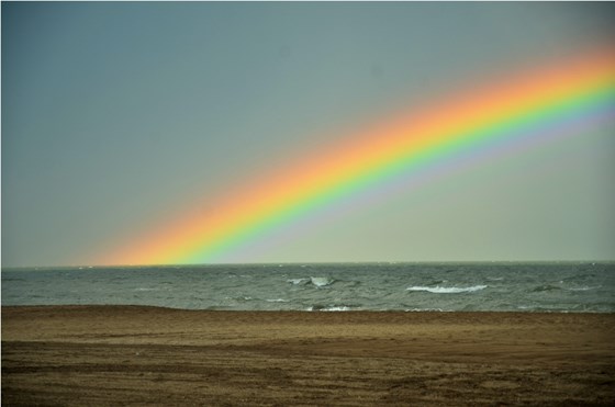 Photography: Photography