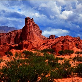 Photography: Photography